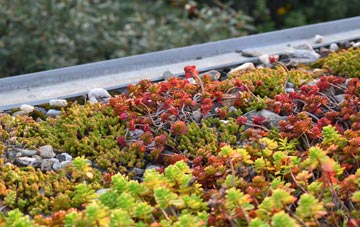 the cost of Blackburn green roof installation