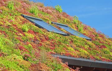 Blackburn living roof systems